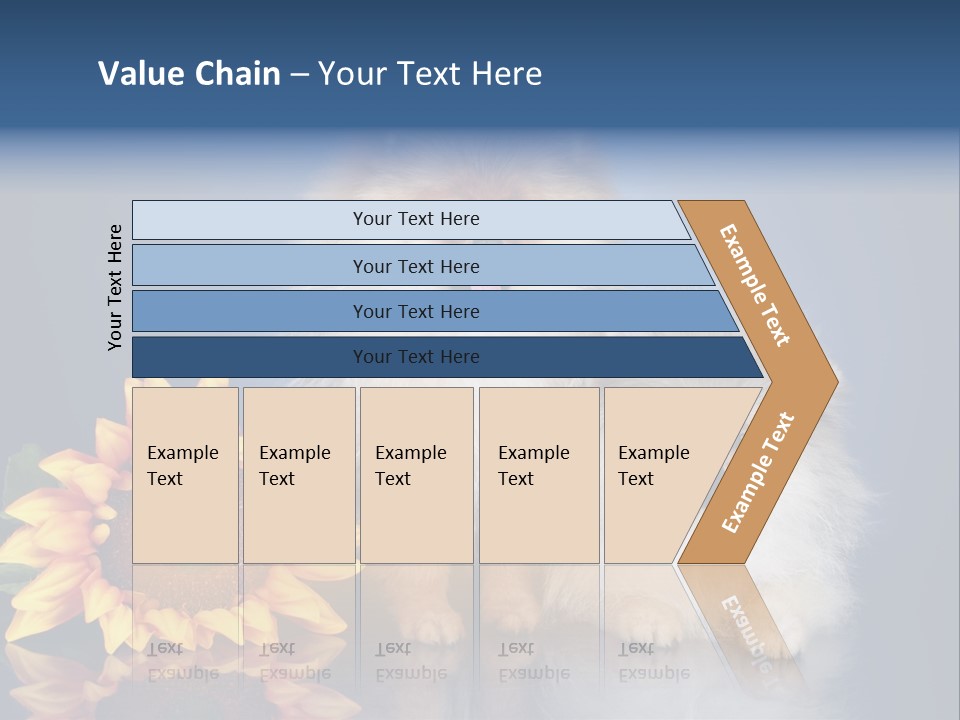 Pomeranian PowerPoint Template