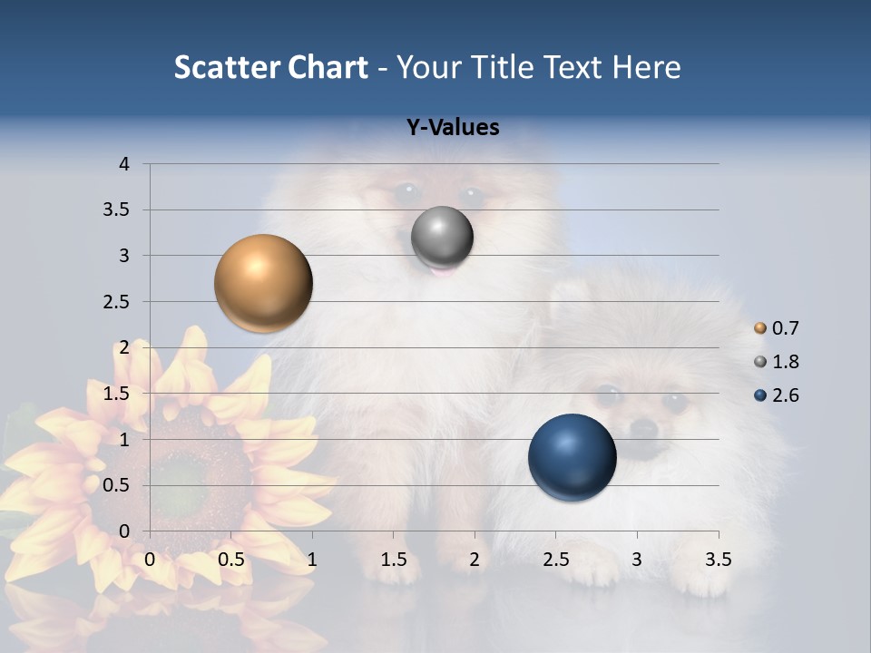 Pomeranian PowerPoint Template