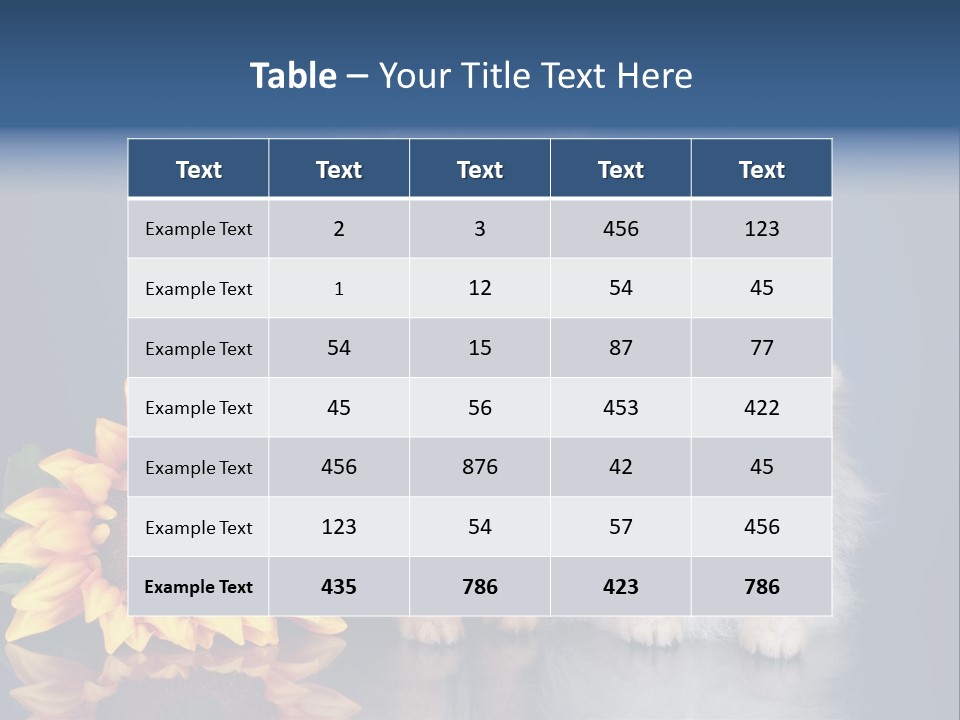 Pomeranian PowerPoint Template