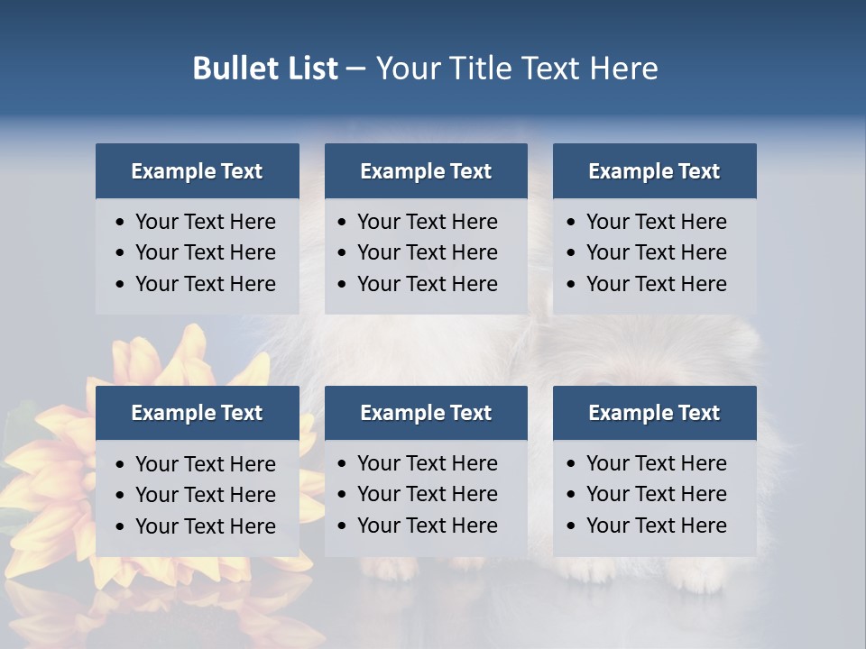 Pomeranian PowerPoint Template