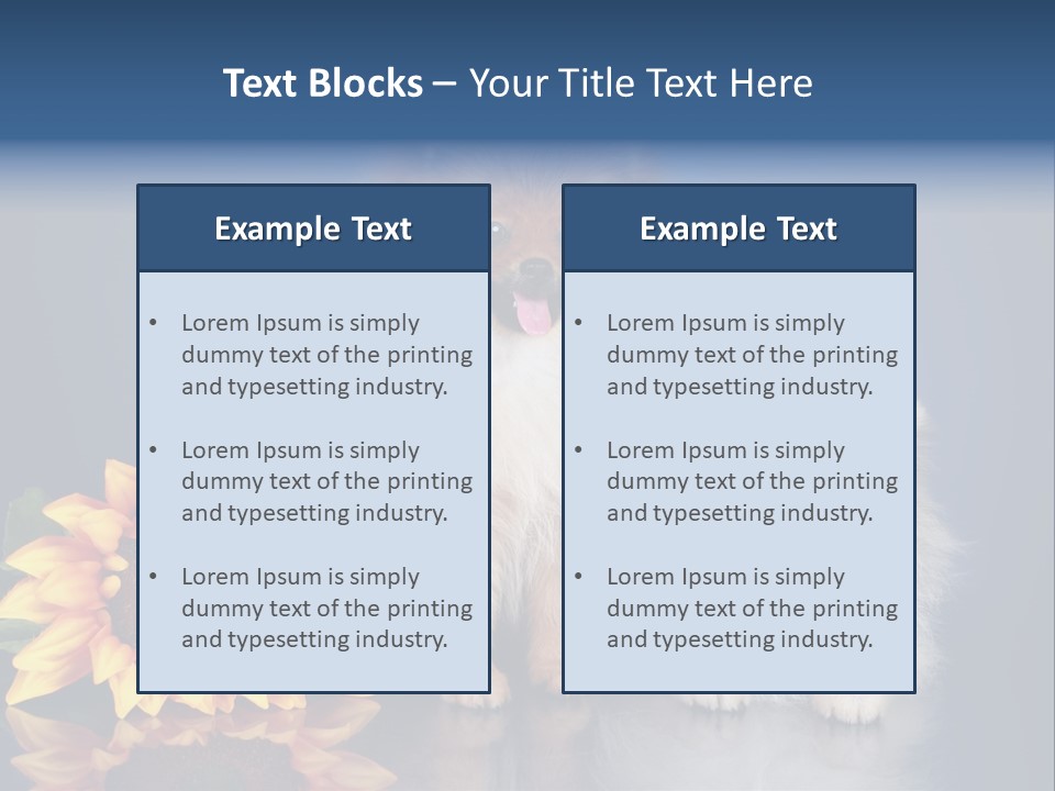 Pomeranian PowerPoint Template