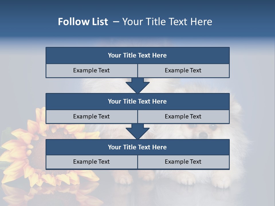 Pomeranian PowerPoint Template