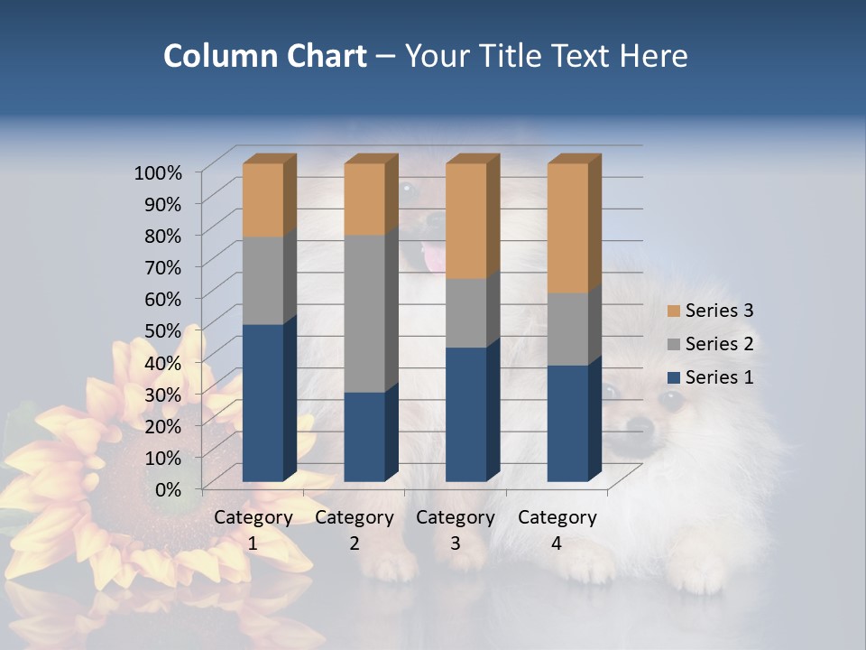 Pomeranian PowerPoint Template