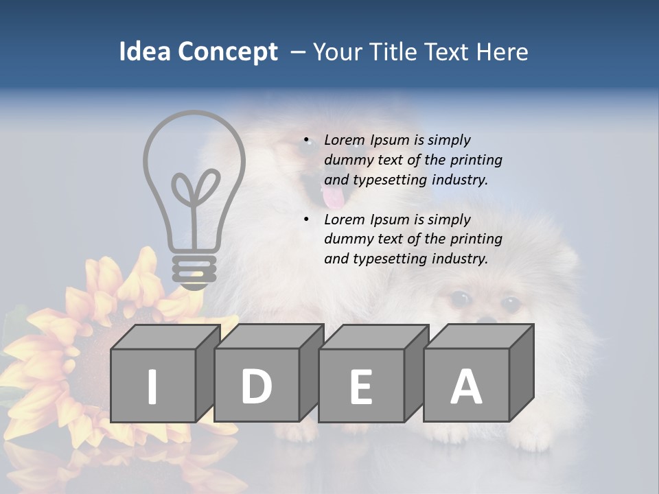 Pomeranian PowerPoint Template