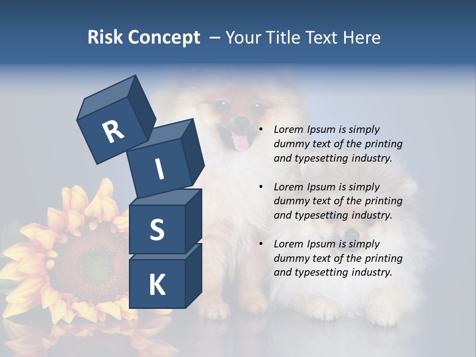 Pomeranian PowerPoint Template