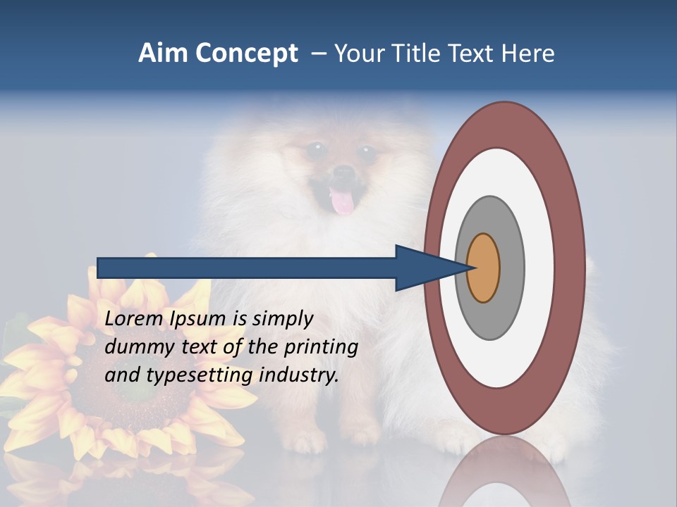 Pomeranian PowerPoint Template