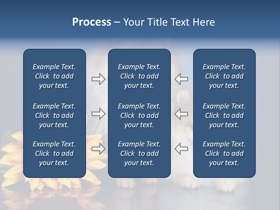Pomeranian PowerPoint Template