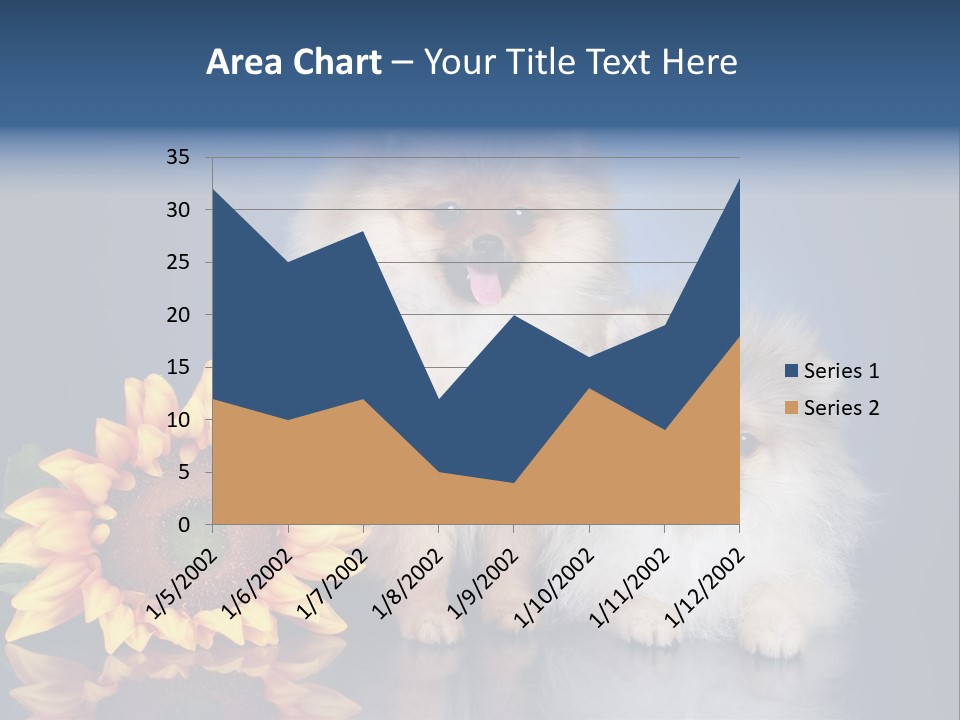 Pomeranian PowerPoint Template