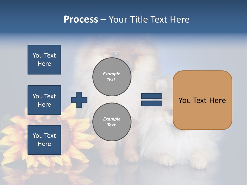 Pomeranian PowerPoint Template