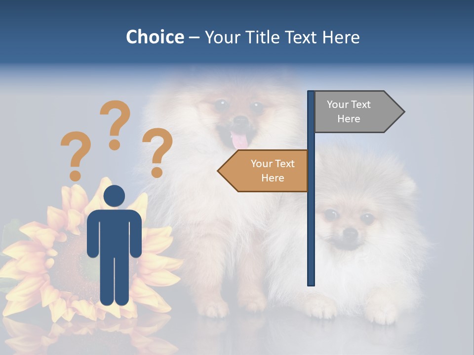 Pomeranian PowerPoint Template