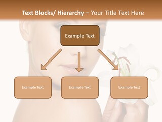 Blonde Eyebrows PowerPoint Template
