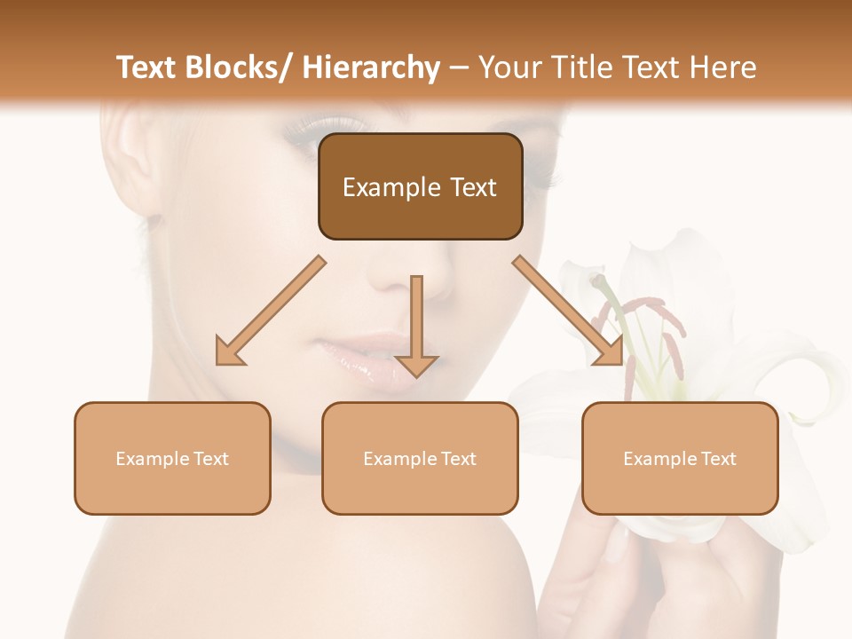 Blonde Eyebrows PowerPoint Template