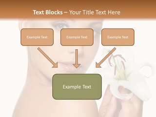 Blonde Eyebrows PowerPoint Template