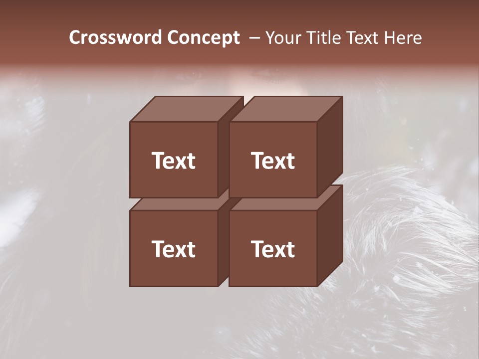 Russian Women PowerPoint Template