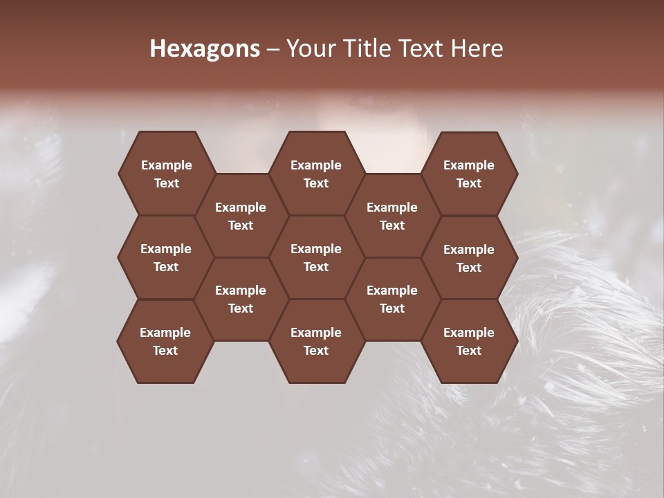 Russian Women PowerPoint Template