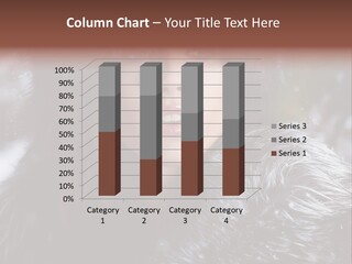 Russian Women PowerPoint Template