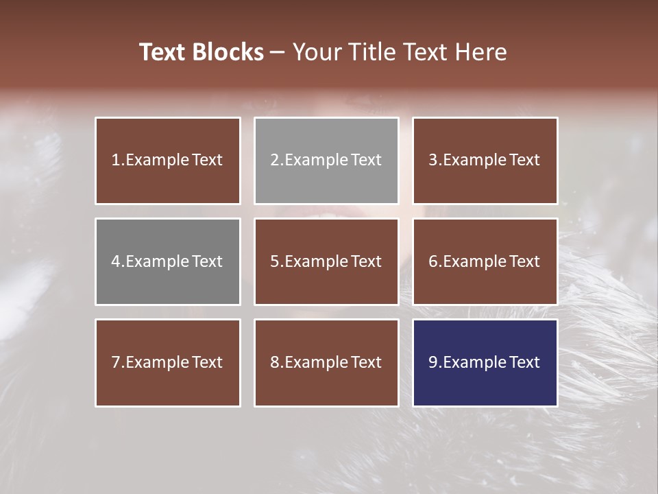 Russian Women PowerPoint Template