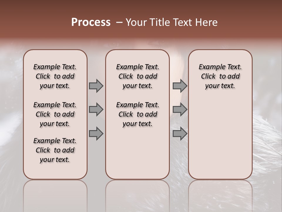 Russian Women PowerPoint Template