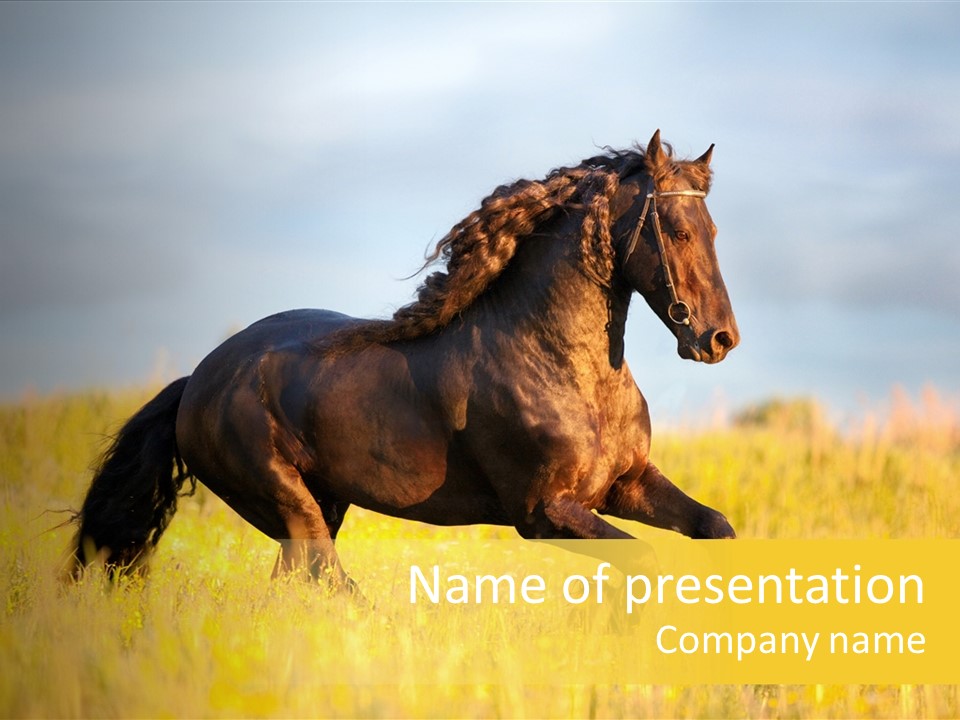 Beautiful Horse PowerPoint Template