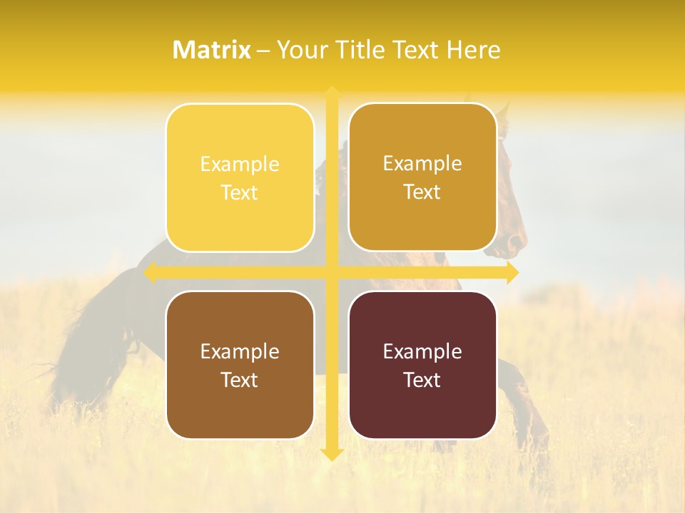 Beautiful Horse PowerPoint Template