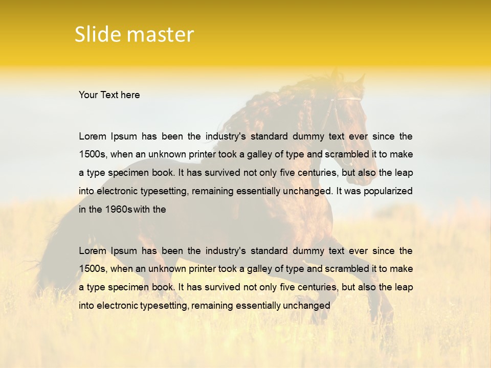 Beautiful Horse PowerPoint Template