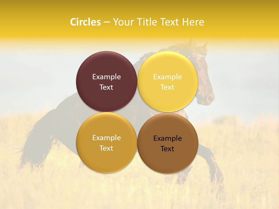 Beautiful Horse PowerPoint Template