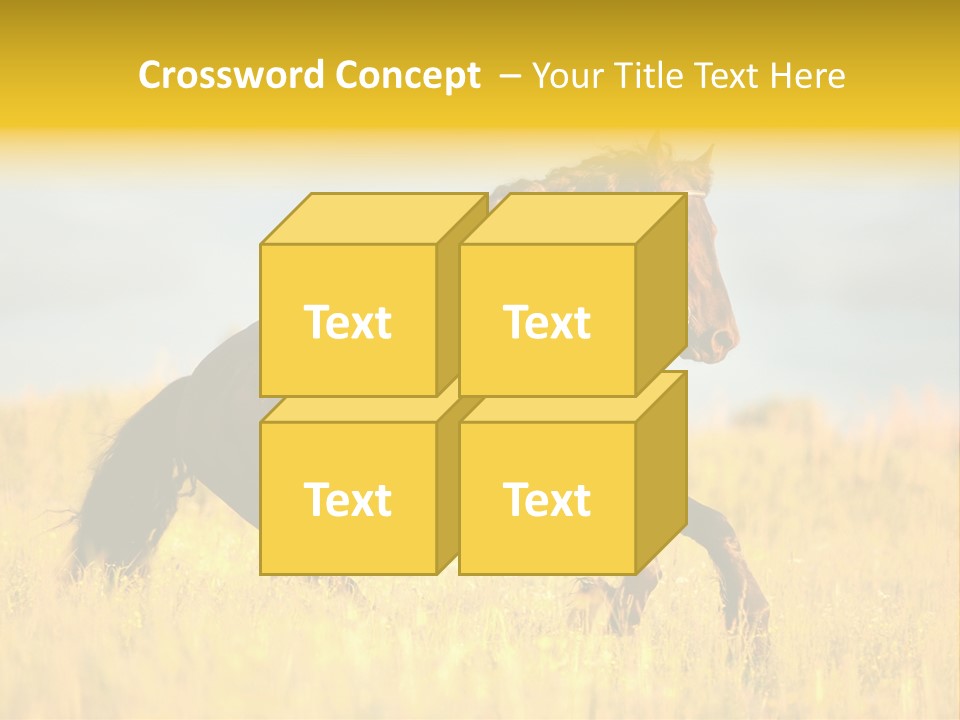 Beautiful Horse PowerPoint Template