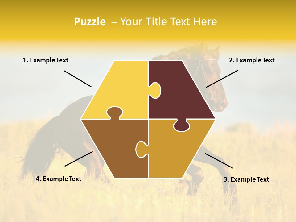 Beautiful Horse PowerPoint Template