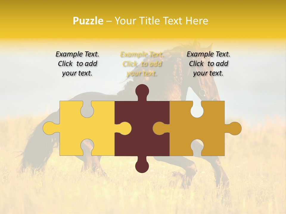 Beautiful Horse PowerPoint Template