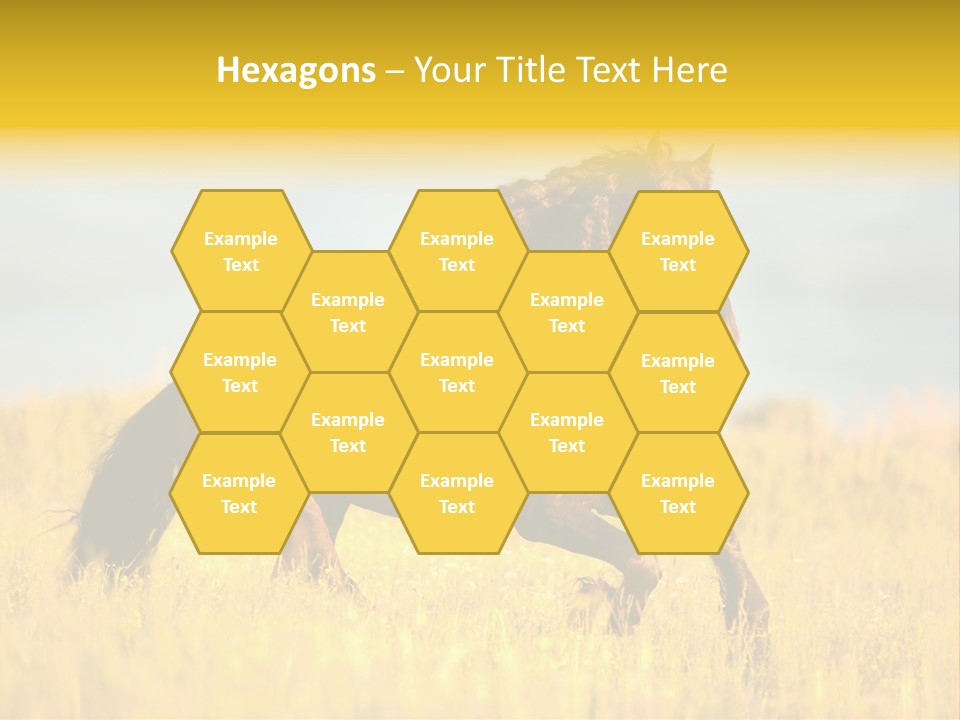 Beautiful Horse PowerPoint Template