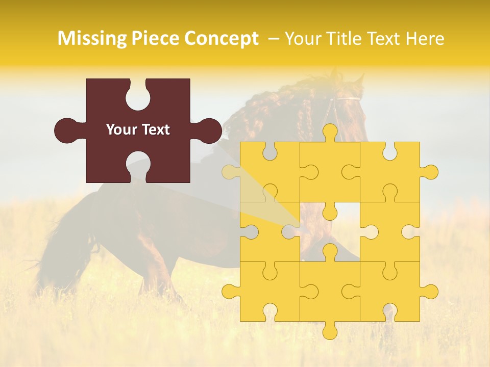 Beautiful Horse PowerPoint Template