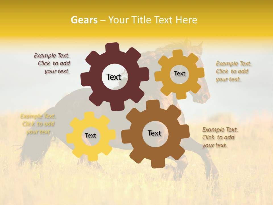 Beautiful Horse PowerPoint Template