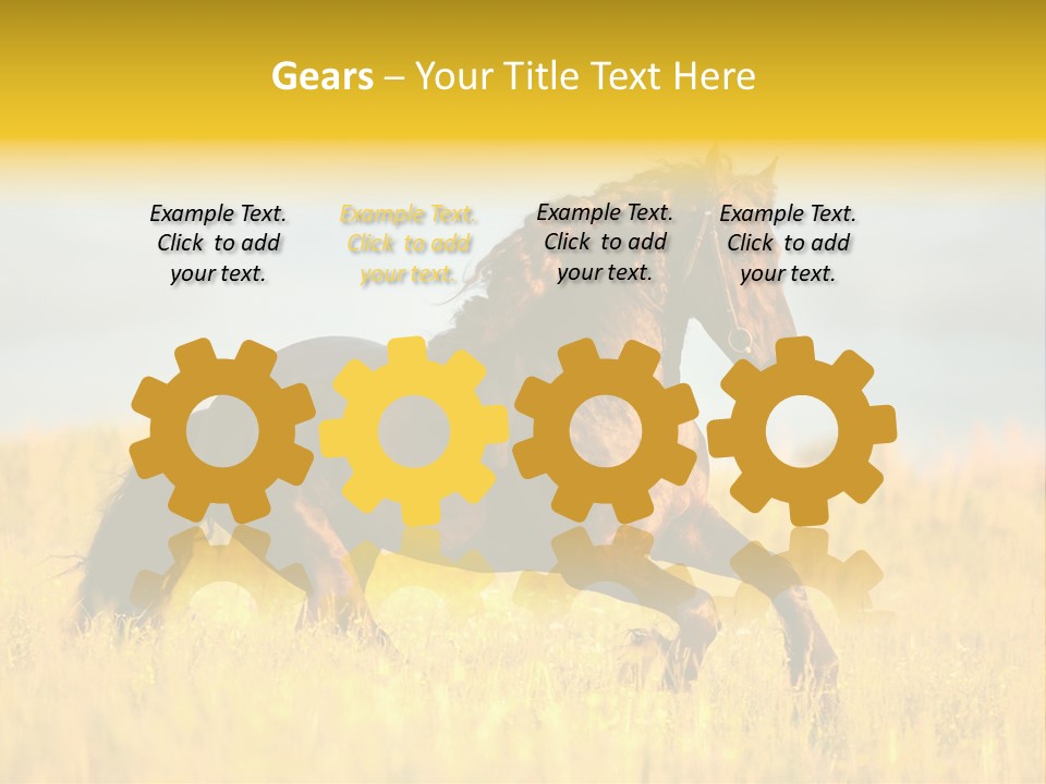 Beautiful Horse PowerPoint Template