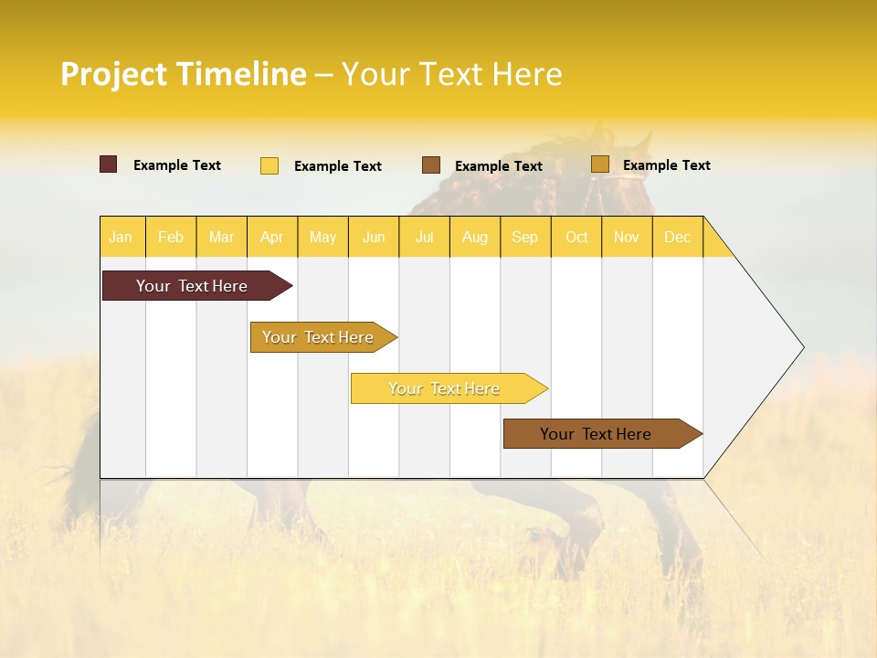 Beautiful Horse PowerPoint Template