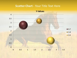 Beautiful Horse PowerPoint Template