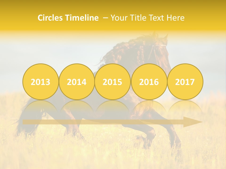 Beautiful Horse PowerPoint Template
