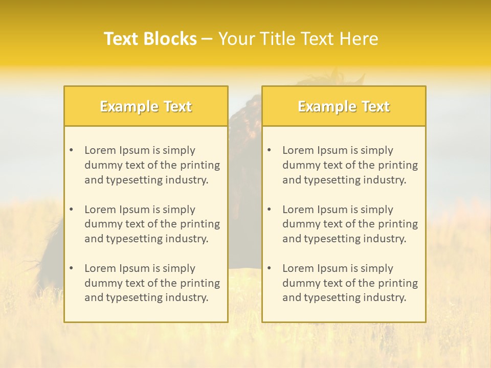 Beautiful Horse PowerPoint Template