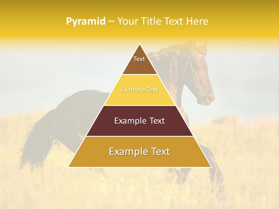 Beautiful Horse PowerPoint Template
