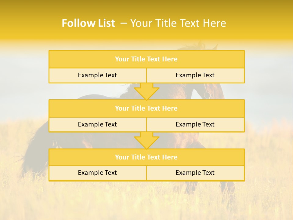 Beautiful Horse PowerPoint Template