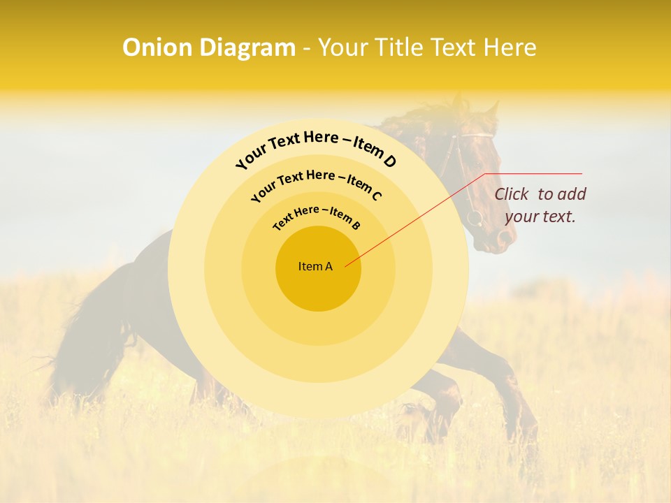 Beautiful Horse PowerPoint Template
