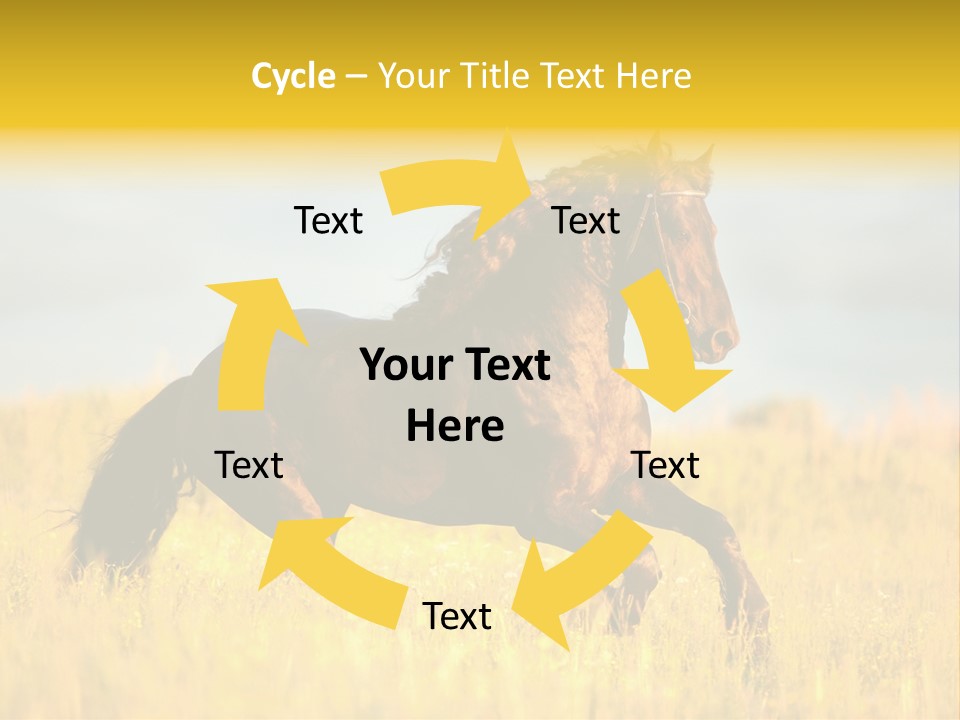Beautiful Horse PowerPoint Template