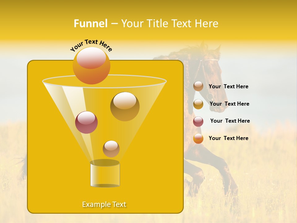 Beautiful Horse PowerPoint Template