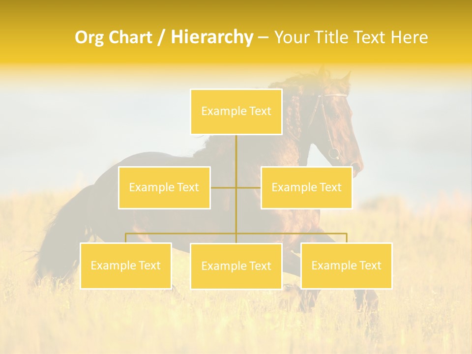 Beautiful Horse PowerPoint Template