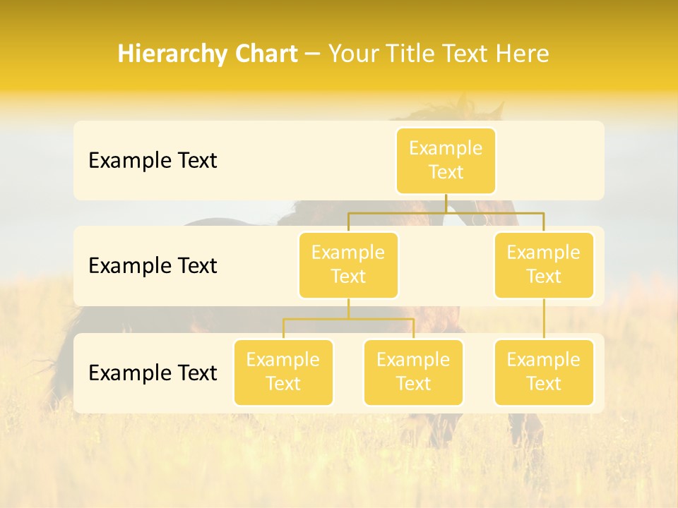 Beautiful Horse PowerPoint Template