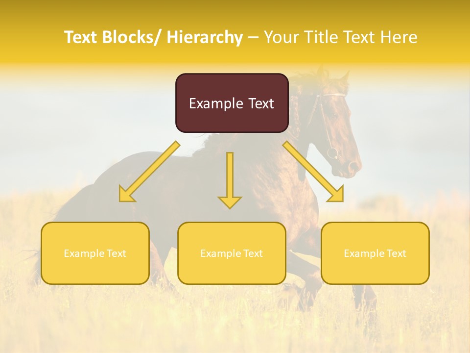 Beautiful Horse PowerPoint Template