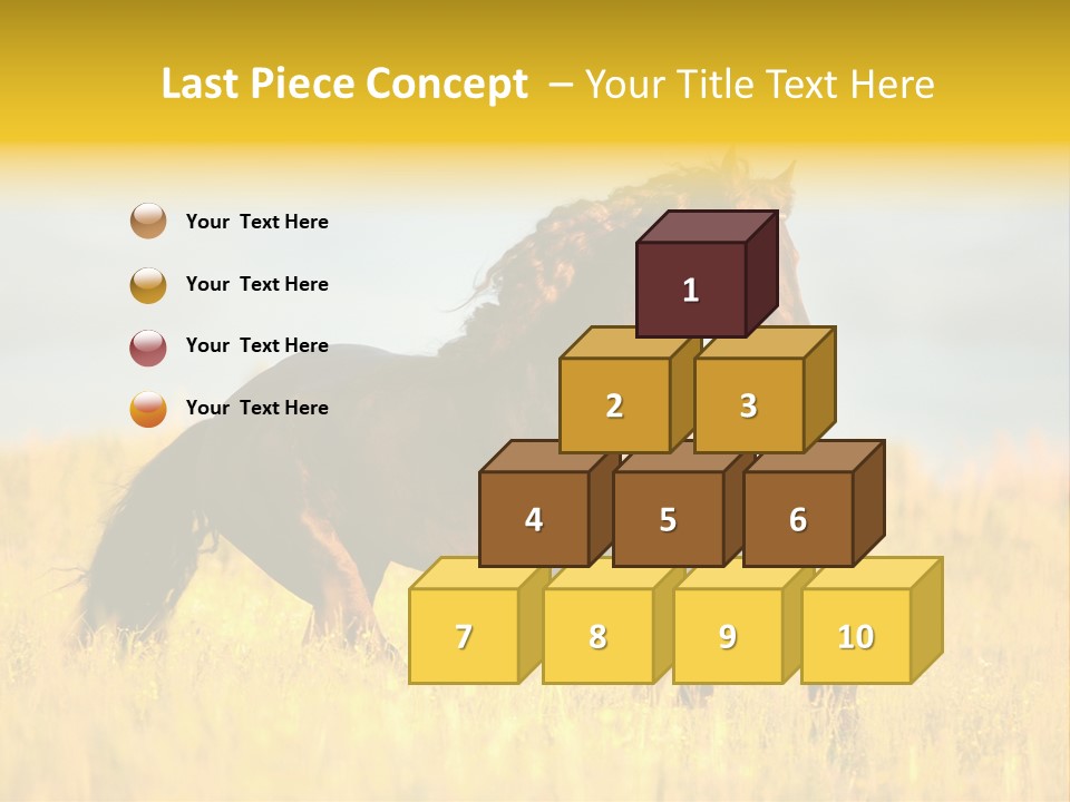 Beautiful Horse PowerPoint Template