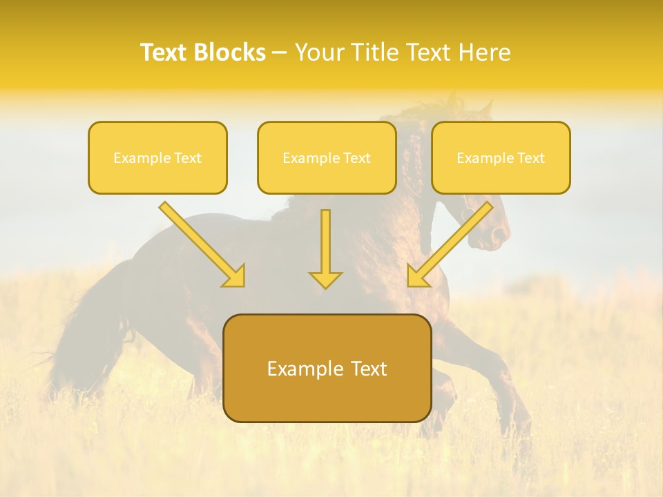 Beautiful Horse PowerPoint Template