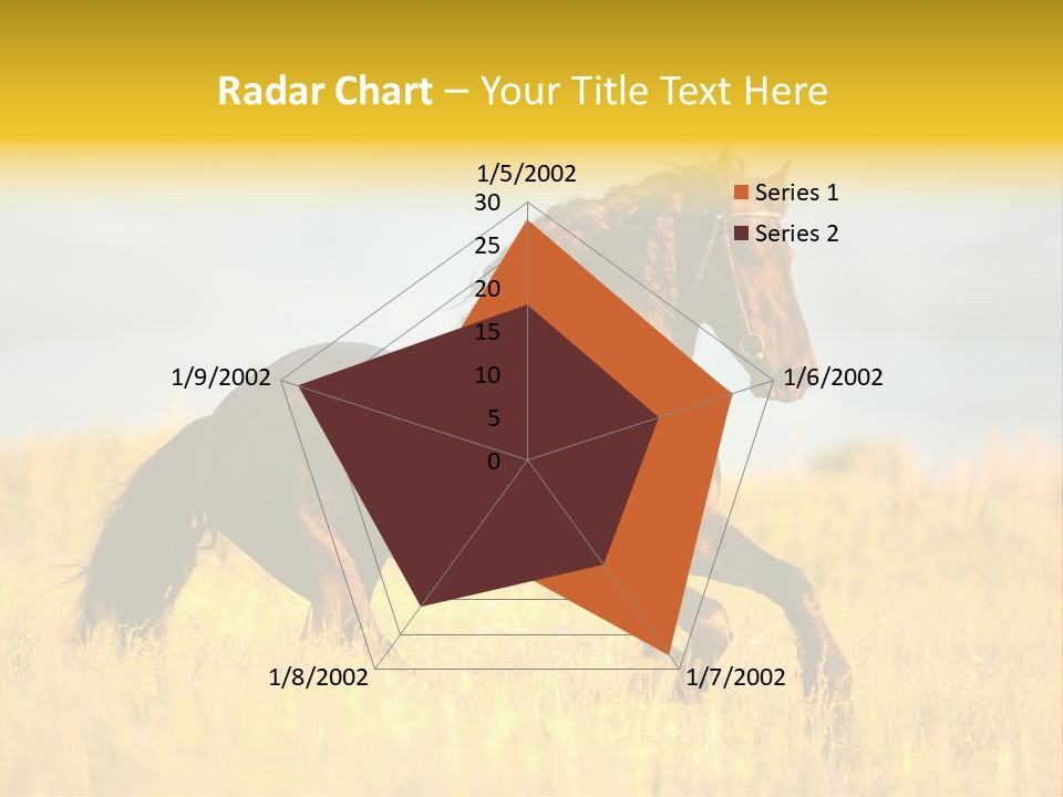 Beautiful Horse PowerPoint Template