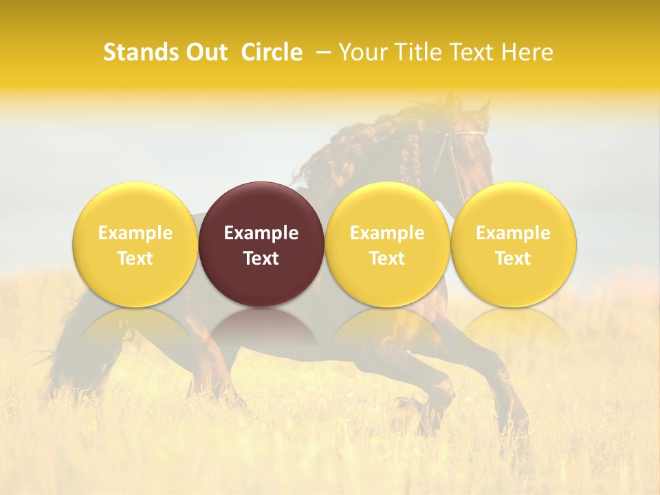 Beautiful Horse PowerPoint Template
