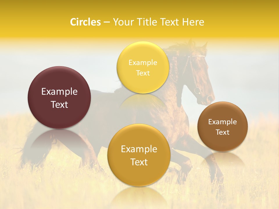 Beautiful Horse PowerPoint Template